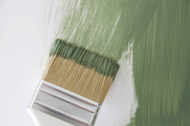 Professional Mold Removal in Pendleton, IN