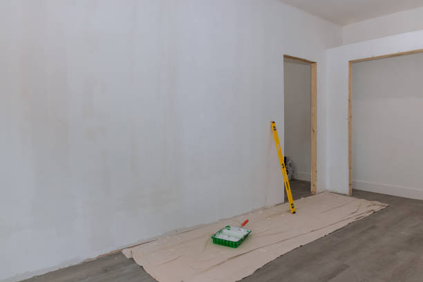 Best Post-Construction Mold Inspection  in Pendleton, IN