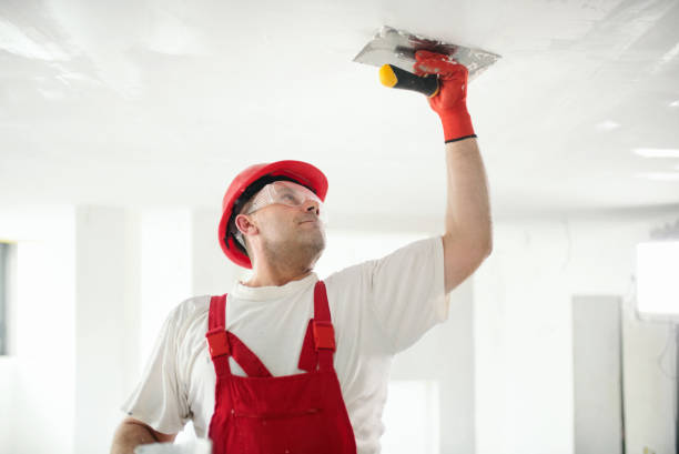 Best Mold Damage Restoration  in Pendleton, IN