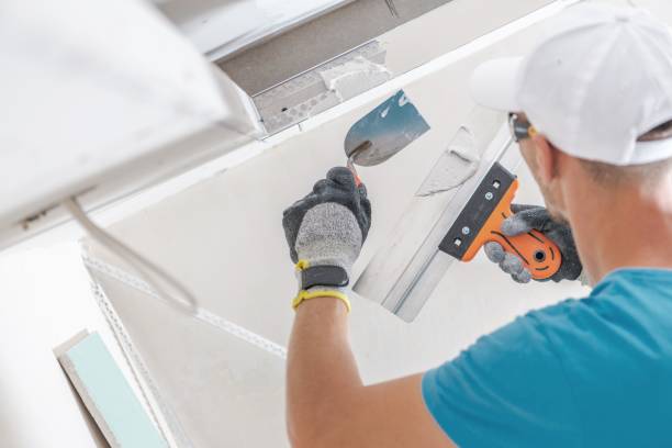 Best Dehumidification Services  in Pendleton, IN